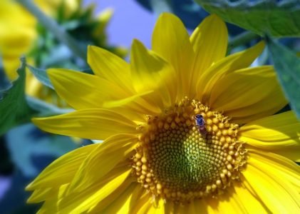 LIVE QUESTION – ĐỢT 2